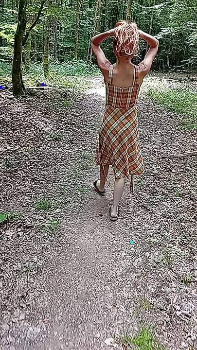 Šetam šumom 1