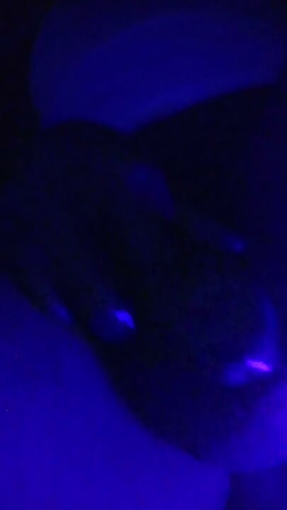 Horny night