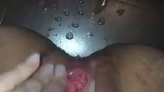 Squirter