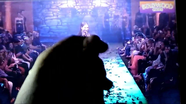 Big Ass of Tamanna Darling