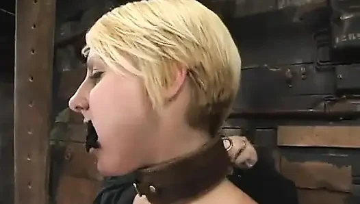 Vendetta