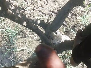 Tlustý čerstvý penis mládence na stromě, nejlepší hindské sexuální video 720p full hd