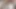 Gömlek ve kravatlı büyük bir dildo sürüyorum - luna bebeği