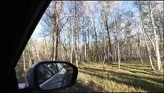 in the forest on a car