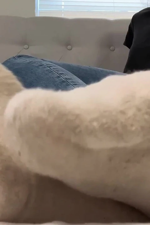 You Need My Smelly Socks