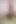 FEMDOM SESSION inserting a BIG DILDO DEEP in slave's fat ASS, pegging, shaking orgasm, huge cumshot