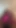 Jaw-dropping moment from "Black trans girl jerking off shoots a huge load"