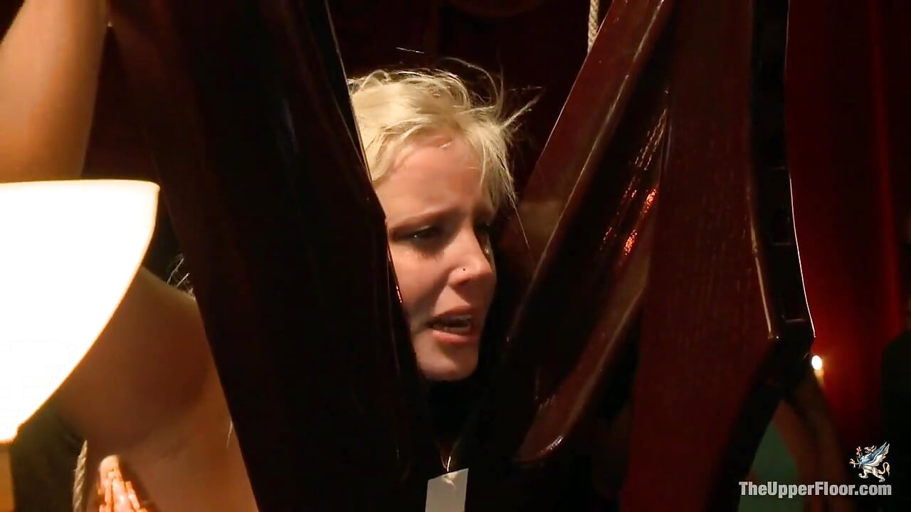 Tits in Trouble