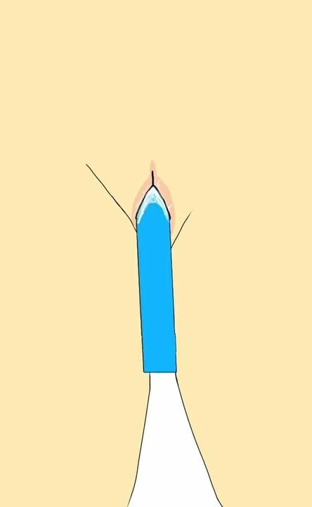 Sex toy animated