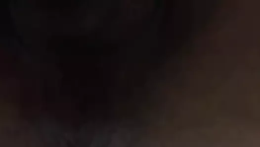 sağma benim kedi