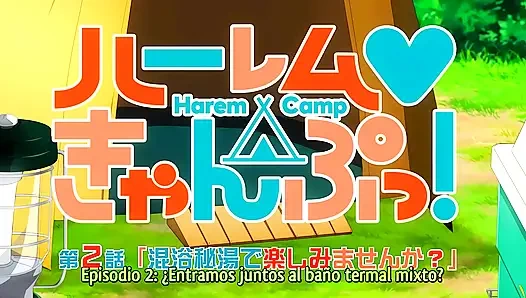 Гаремный лагерь -2