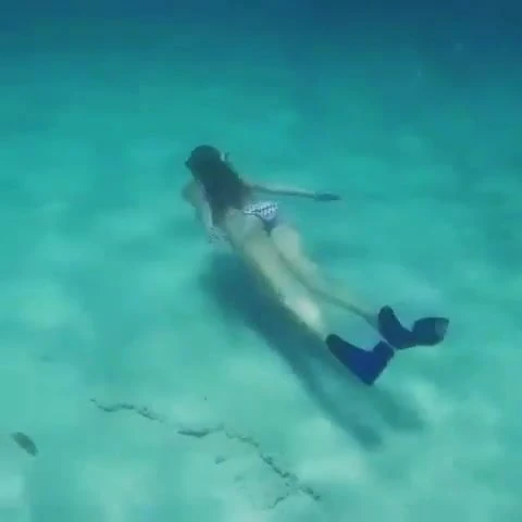 diving and showing