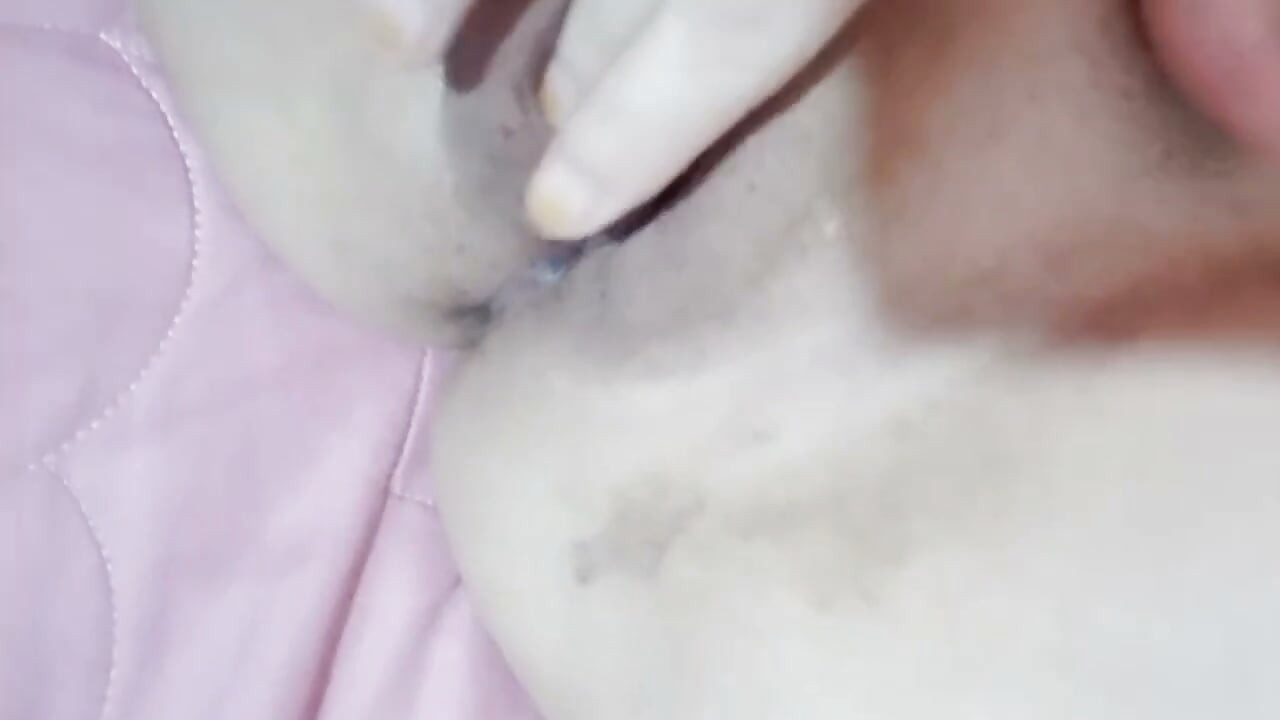 Beautiful Hairless Girl Masturbates To Climax
