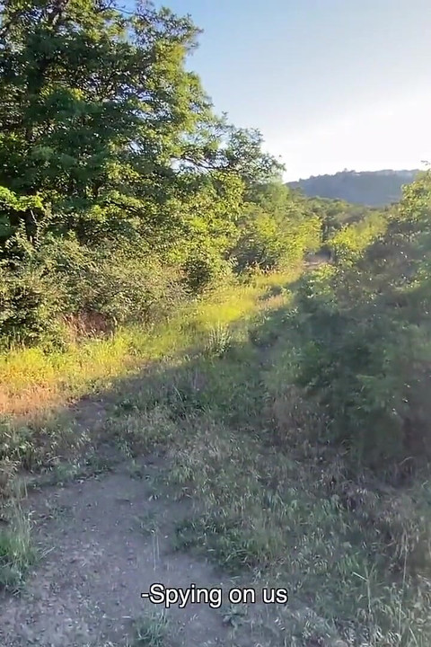 Stor röv främling tjej blir doggystyle knullad i parken och sperma på fitta och sperma gå i trosor