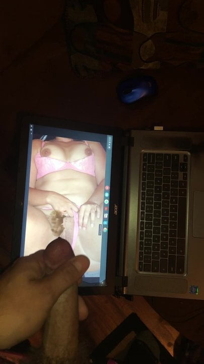 Bbsトリビュート