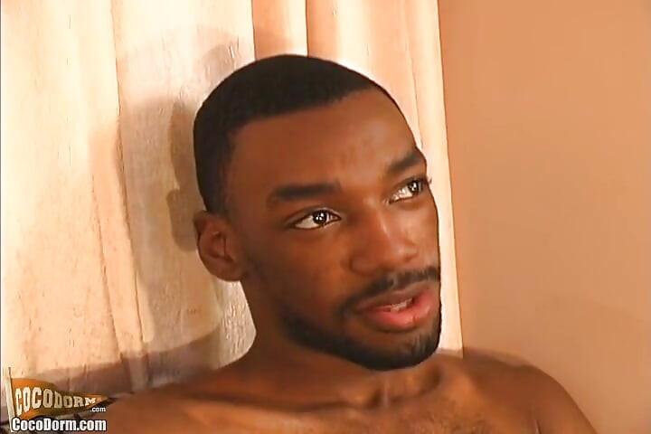 Pnetraytor