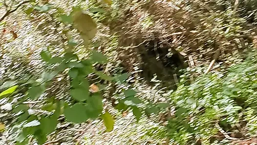 Amateur couple improvises a sudden fuck in the woods