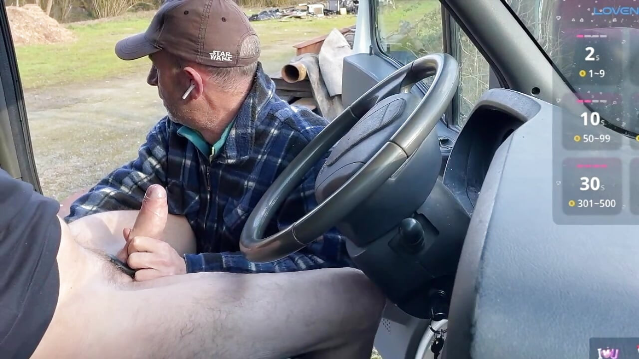 Sunny Day Car Encounter