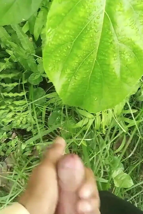 Big Cock Cumshot in Natural Garden, Outdoor Cumshot
