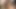 So viele Schwaenze wollen n Ihre Fotze