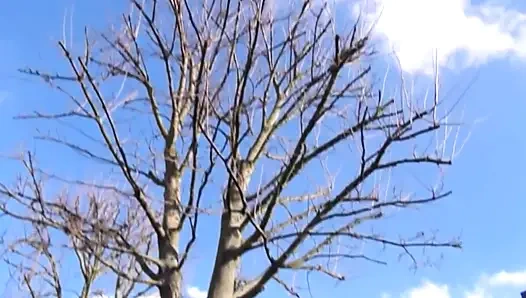 Amatör Alman çift evde sert sikişiyor