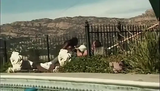 Schwarze und weiße muschi lecken, ficken, küssen im garten