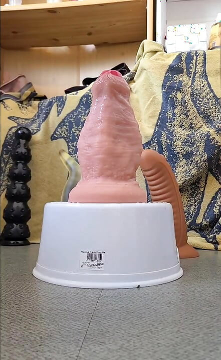 a selection of dildos
