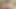 seksi kız kelebek KEDİ yaladı