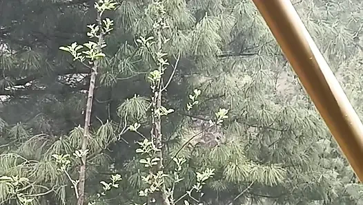 Part 1 - Desi outdoor sex with a stranger girl in the jungle.