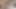 german girl penetrating her asshole with magic wand vibrator