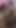 Jaw-dropping moment from "Nicole Anniston & Freinds Miserable Fuck A Fan Hotties Big Boobs Giving Pussy And Mouth to Fan!"