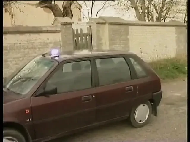 dieter von stein - missionary,cougar