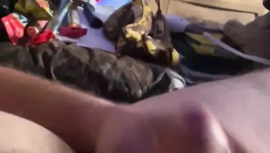 Yarak kılıfı ve bağlı taşaklarla mastürbasyon