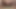 big black dildo and shaved cock