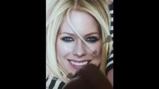 Трибьют для Avril Lavigne 02