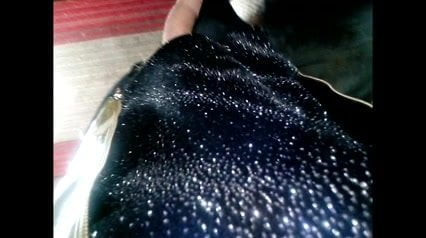 Sperma auf High Heels, Mix 233
