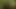 Tasks from the Master 11.08.2019