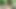 bitch fingering herself and cums in the forest
