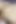 Anal Destroyed by 9 Inch Big Dick. Rough Cum in Ass