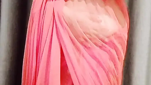 RolePlay Bos Officeb