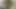 Vends-ta-culotte - Beautiful luscious amateur woman masturbating her wet pussy in close-up