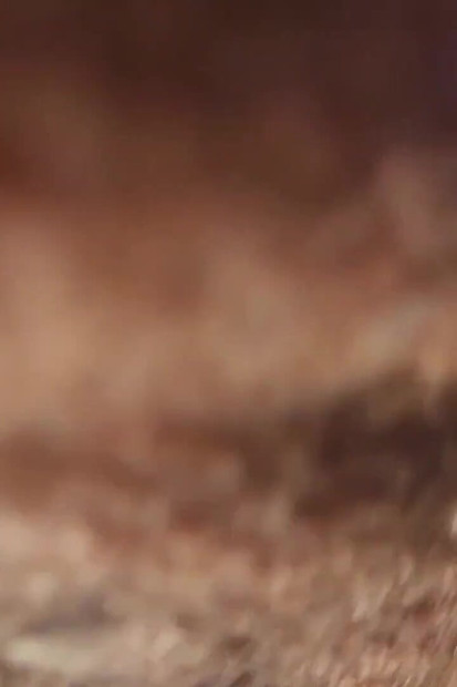 Bust That Ass Compilation 01