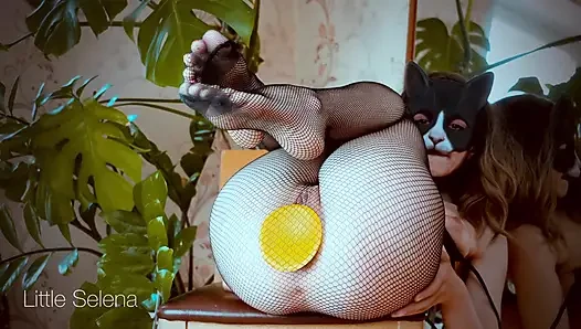 Do you like kitties with a stretched butt?