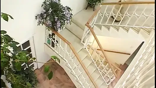 Stunning ebony model with huge bristols takes cock in doggy style on the stairs
