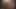 Daddys cum shot compilation