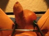 glukose