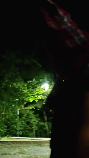 Must-see moment from "Fucked in a public park. Came on a date with a butt plug."