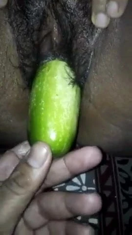 cucumber insert the pussy