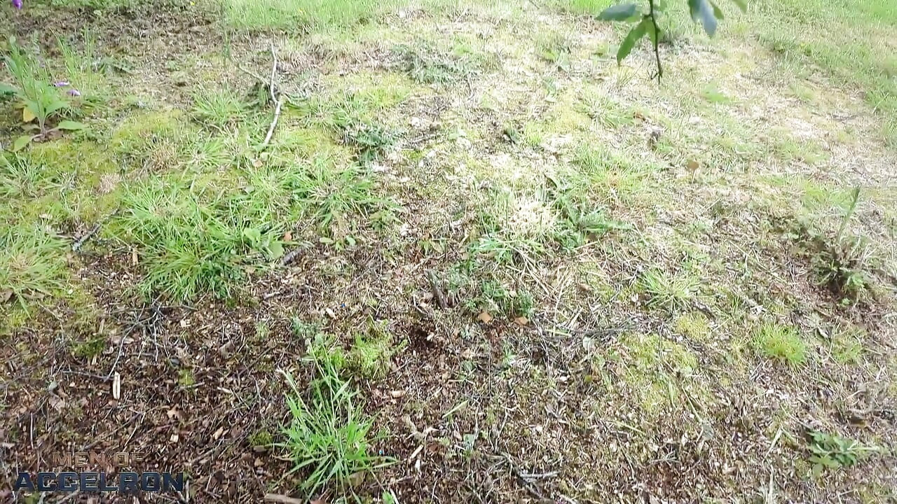 2 Ginger Bears Fuck Outside!