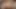 Indian College Girl Natural Big Brinjal Cock Squirting Orgasm FUCK HARDCORE indian sex indian girl